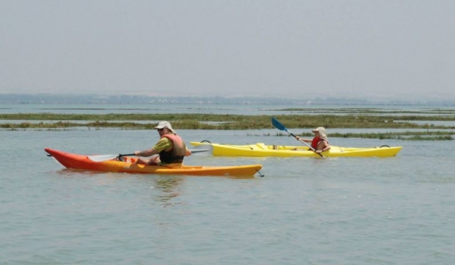  balade en kayak dans les marais 